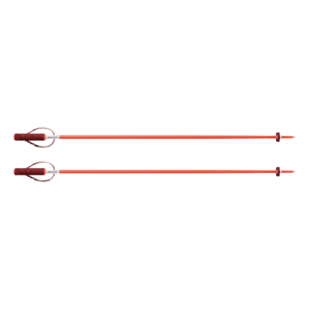 An image of magnetic ski poles