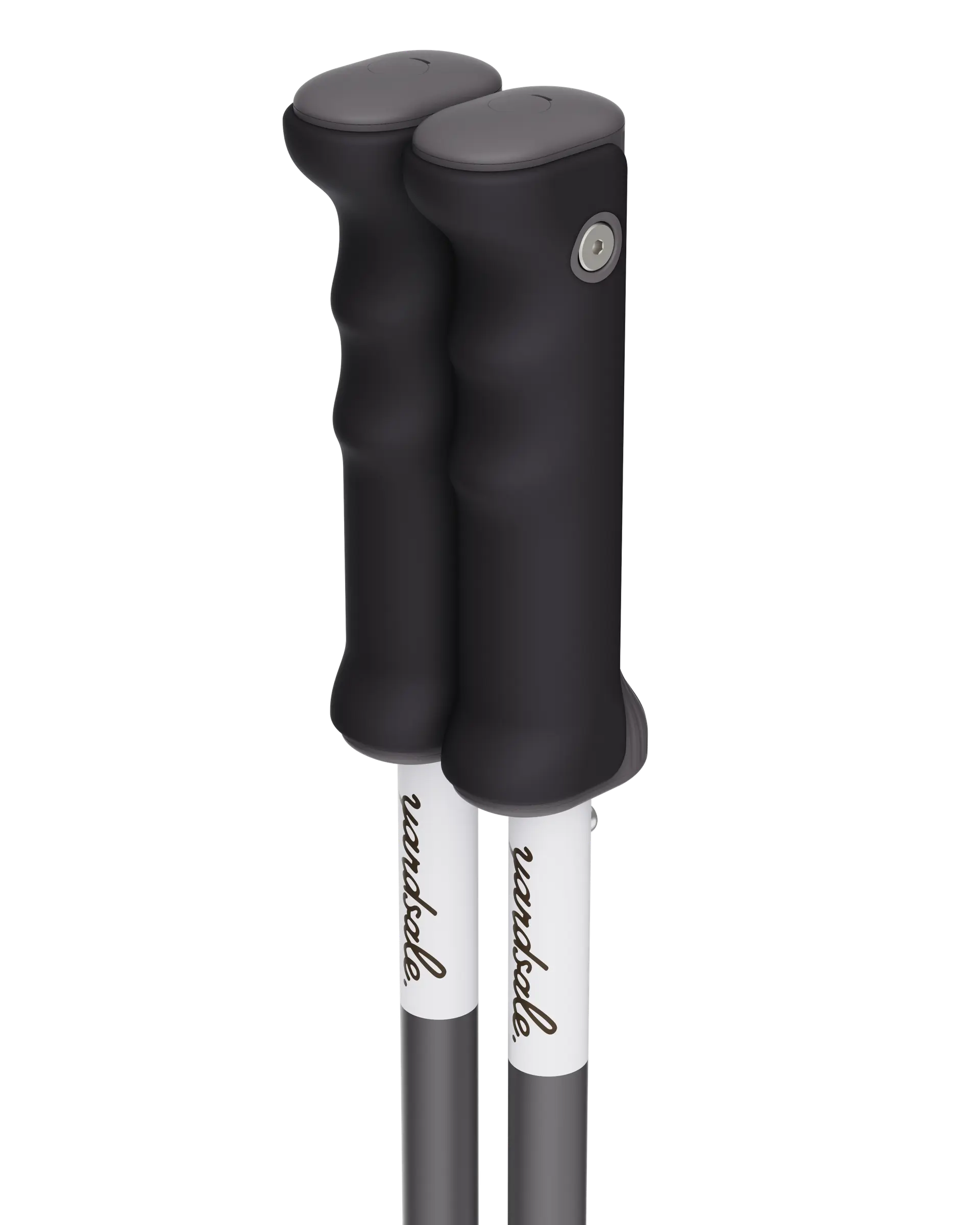 An image of P1 ski poles double black handles