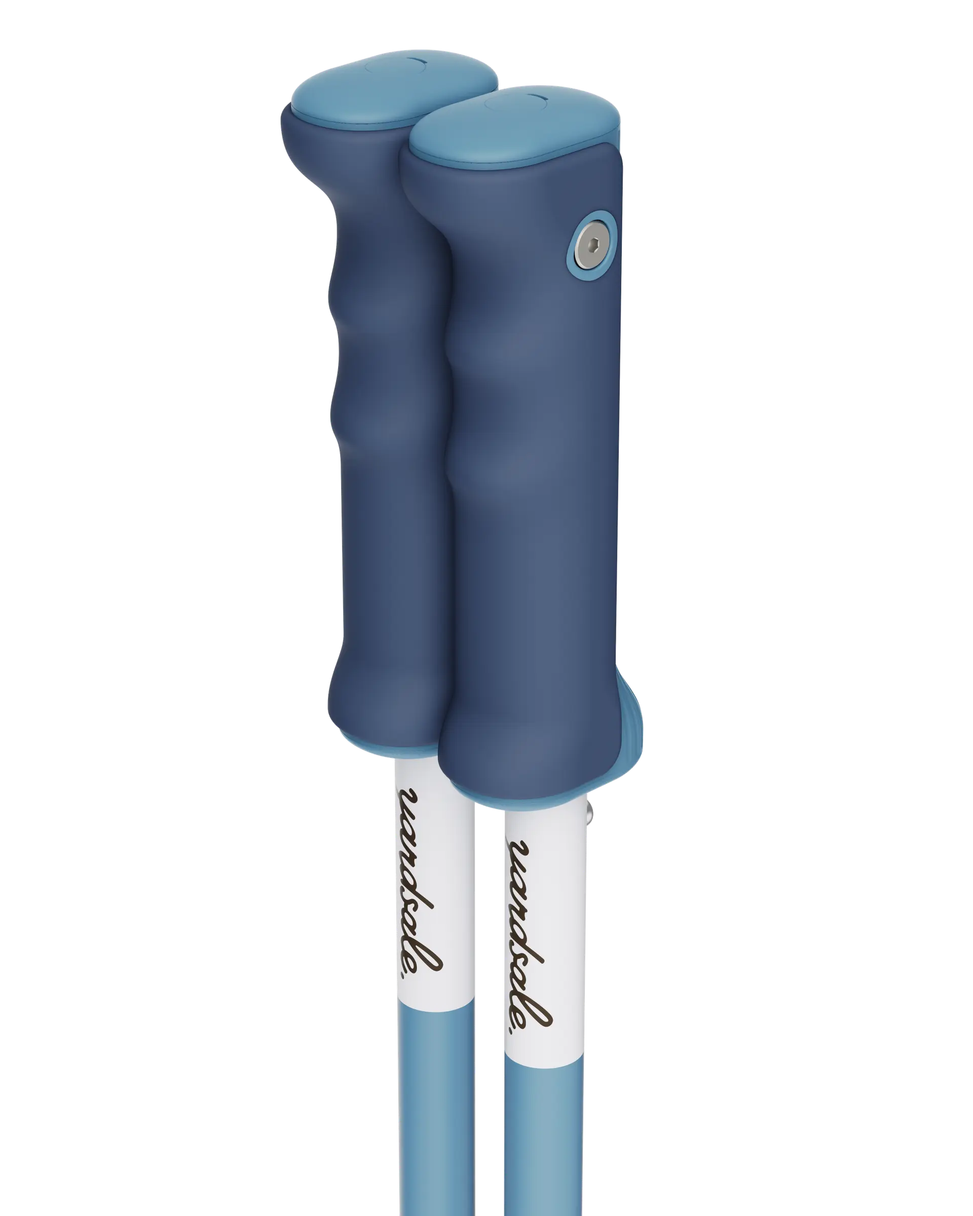 An image of P1 ski poles blue handles