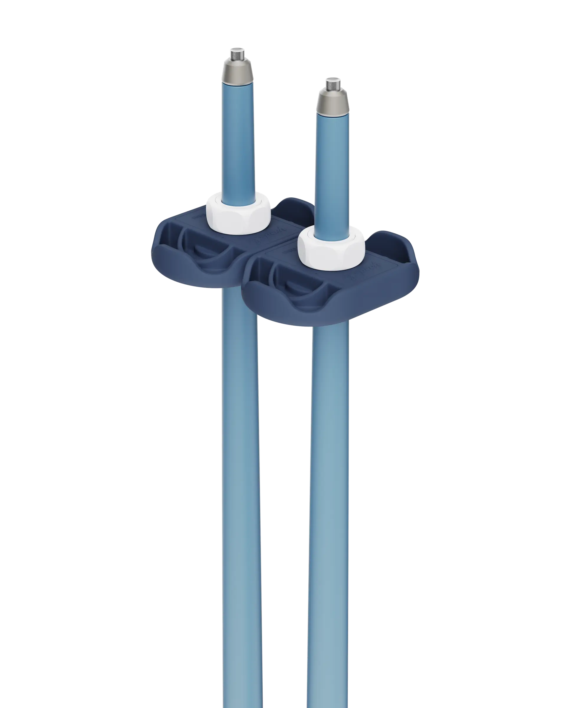 An image of P1 ski poles blue baskets