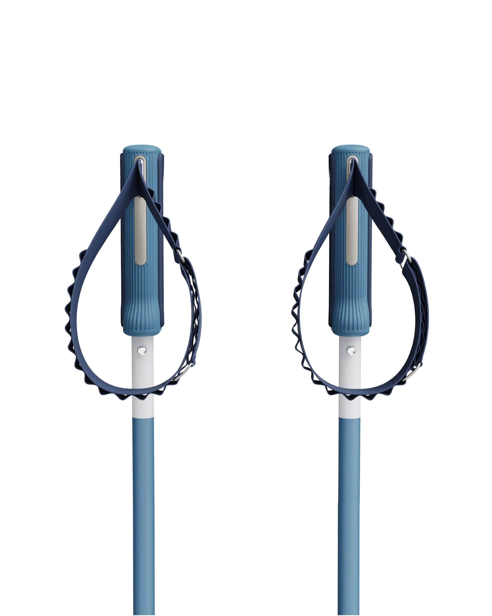 An image of P1 ski poles blue handles