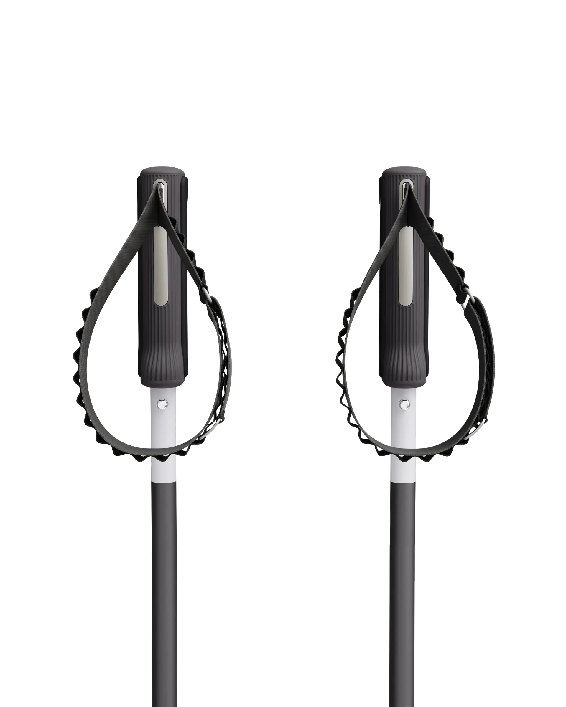 An image of P1 ski poles double black handles
