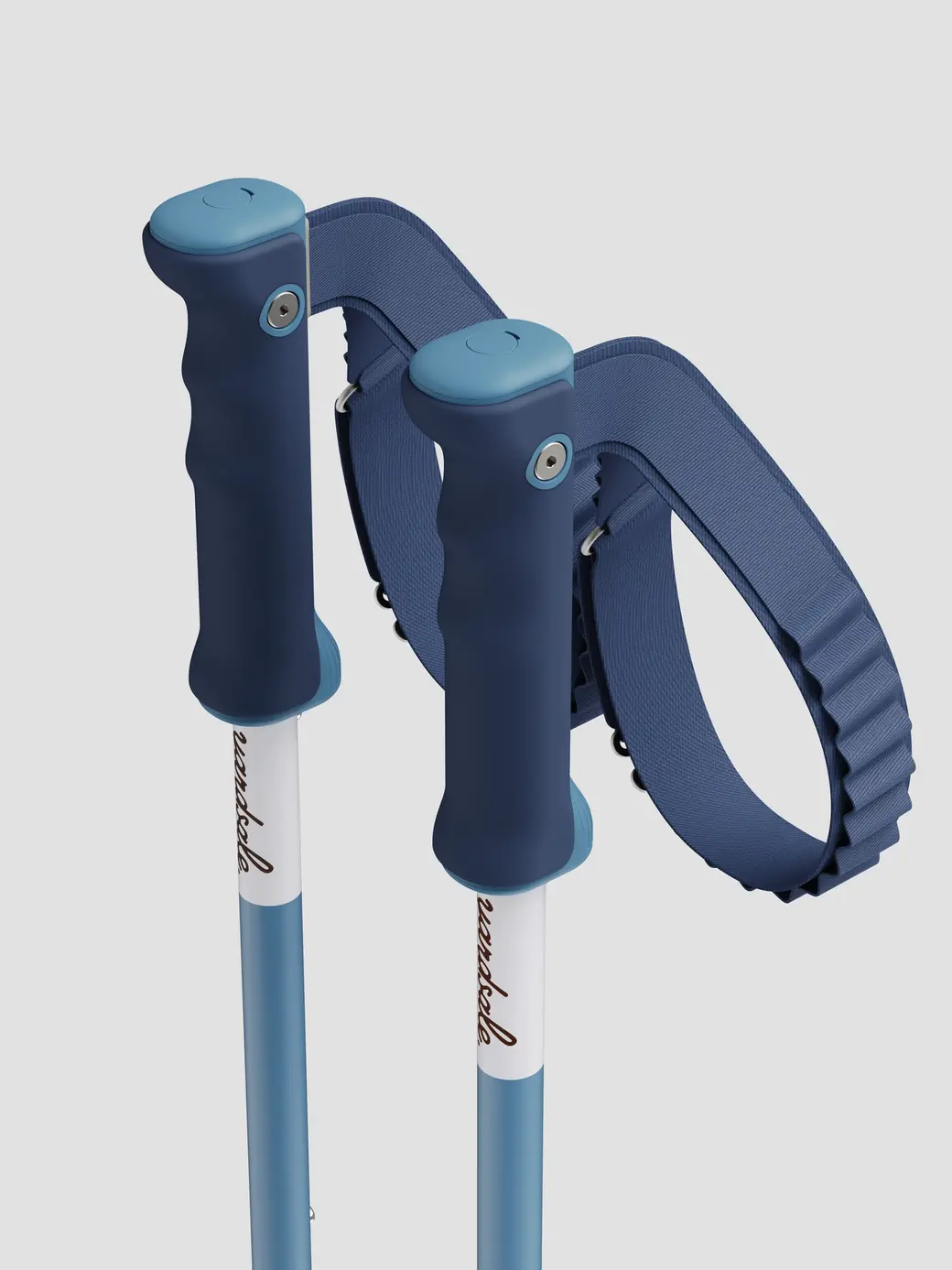 An image of P1 mini ski poles blue handles